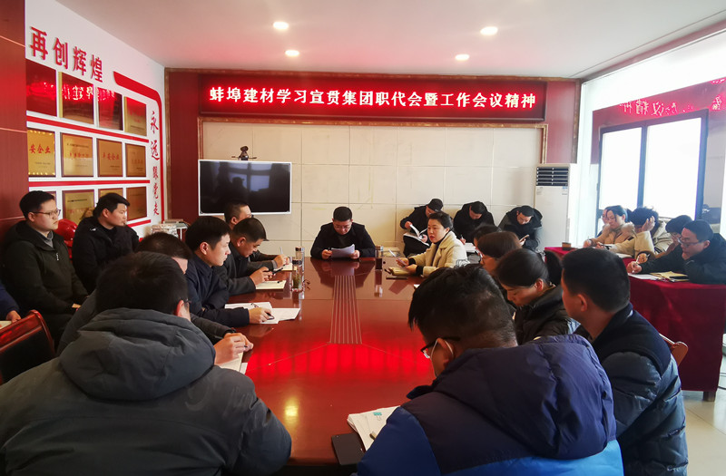 084722-843210.jpg 蚌埠建材學習宣貫職代會暨工作會議精神_副本.jpg