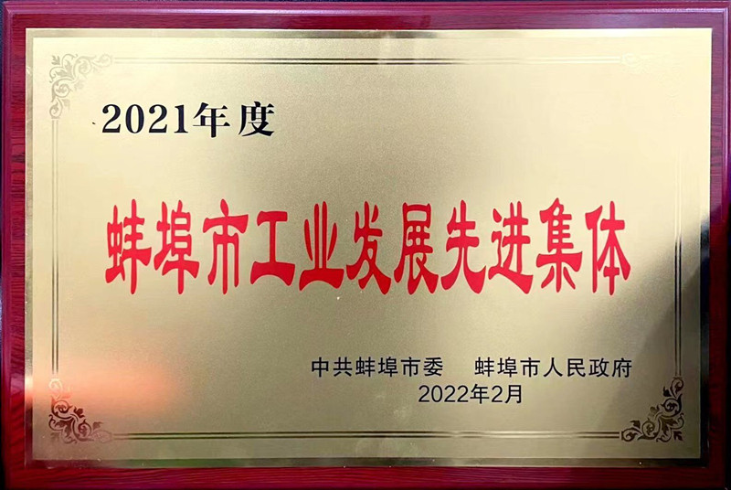 083435-206229.jpg 蚌埠市工業(yè)發(fā)展先進(jìn)集體照片_副本.jpg