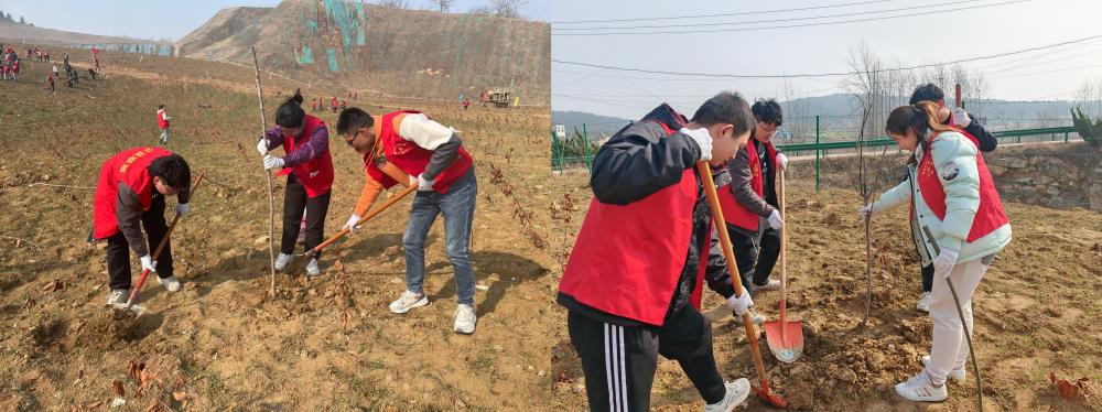 100106-352912.jpg IMG_7228(20240313-095237).JPG